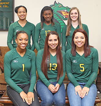 Region XIV honored volleyball players photo