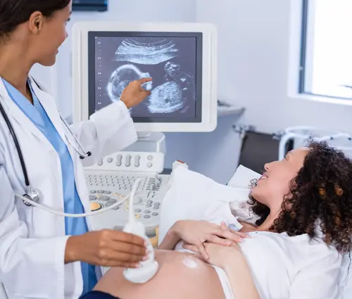 medical professional with pregnant patient